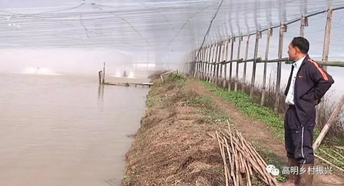 水產(chǎn)養(yǎng)殖防寒策略與畜牧漁業(yè)飼料銷售調(diào)整指南