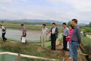 陜西省加強水產(chǎn)投入品監(jiān)管 現(xiàn)場抽查工作助力畜牧漁業(yè)飼料安全銷售