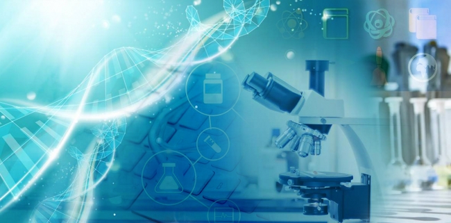 國家自然科學基金重點項目名單揭曉 我校22項目覆蓋醫學、理學與工學，彰顯自然科學研究新突破